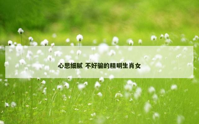 心思细腻 不好骗的精明生肖女