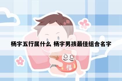 杨字五行属什么 杨字男孩最佳组合名字