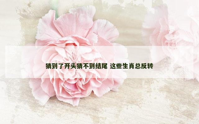 猜到了开头猜不到结尾 这些生肖总反转