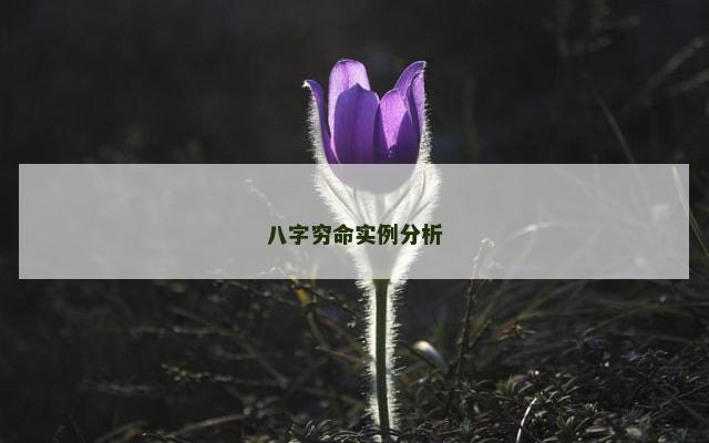 八字穷命实例分析