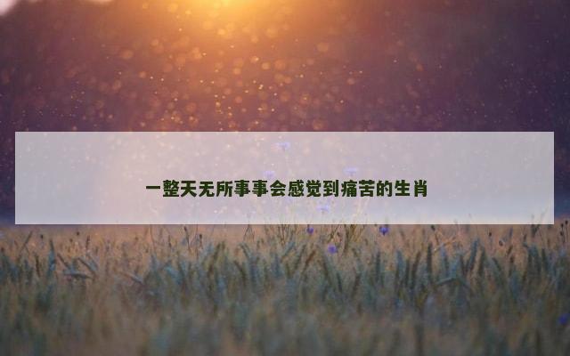 一整天无所事事会感觉到痛苦的生肖
