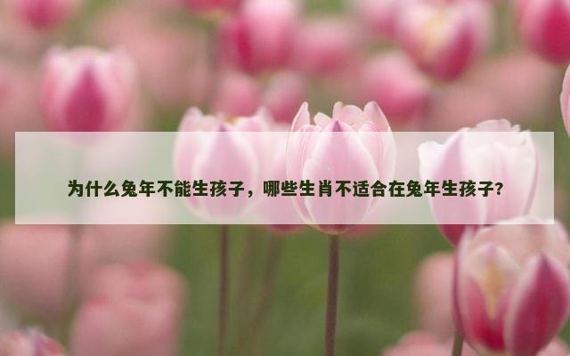 为什么兔年不能生孩子，哪些生肖不适合在兔年生孩子?