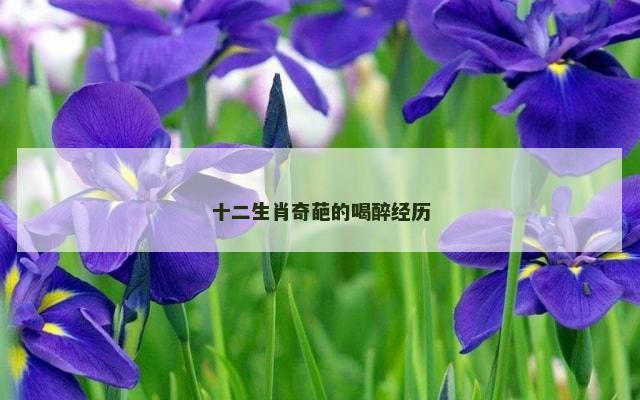 十二生肖奇葩的喝醉经历