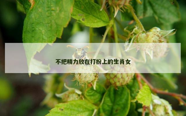 不把精力放在打扮上的生肖女