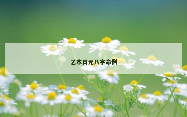 乙木日元八字命例