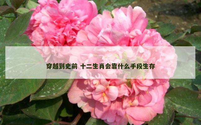 穿越到史前 十二生肖会靠什么手段生存