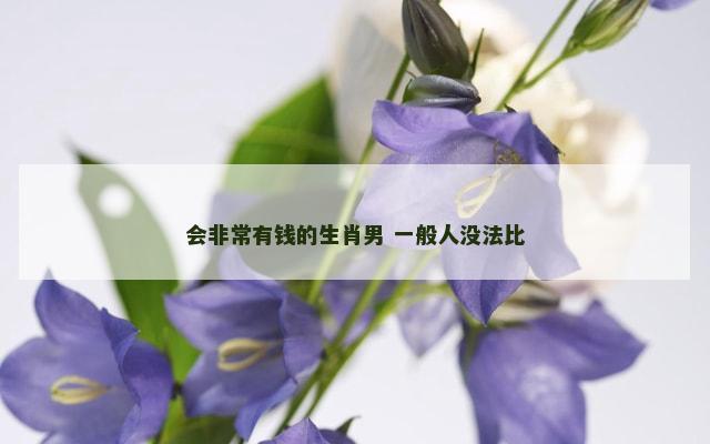 会非常有钱的生肖男 一般人没法比