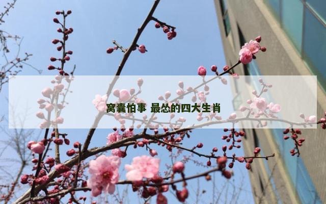 窝囊怕事 最怂的四大生肖