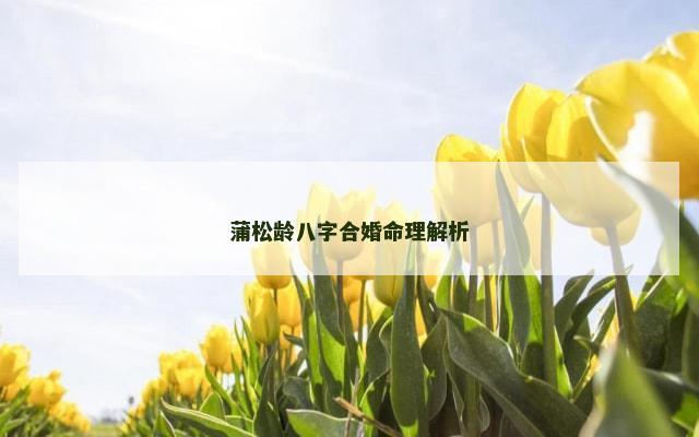 蒲松龄八字合婚命理解析