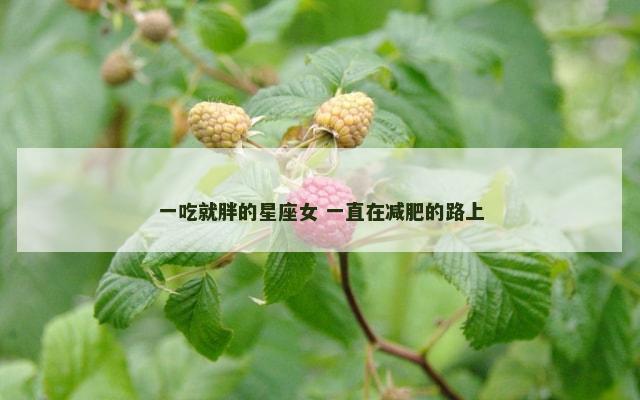 一吃就胖的星座女 一直在减肥的路上