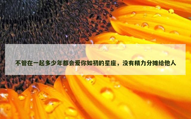 不管在一起多少年都会爱你如初的星座，没有精力分摊给他人