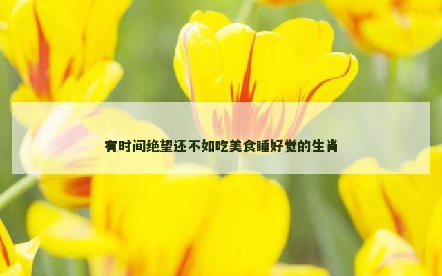 有时间绝望还不如吃美食睡好觉的生肖