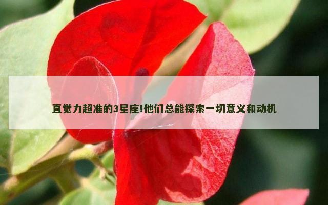 直觉力超准的3星座!他们总能探索一切意义和动机
