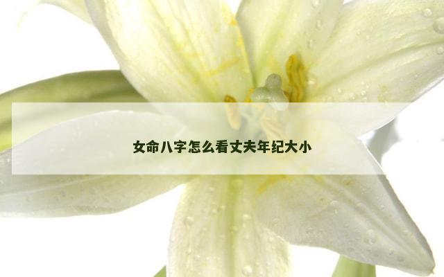 女命八字怎么看丈夫年纪大小