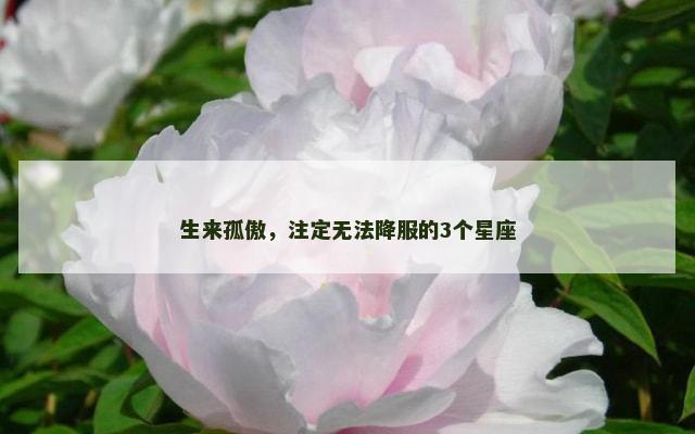 生来孤傲，注定无法降服的3个星座