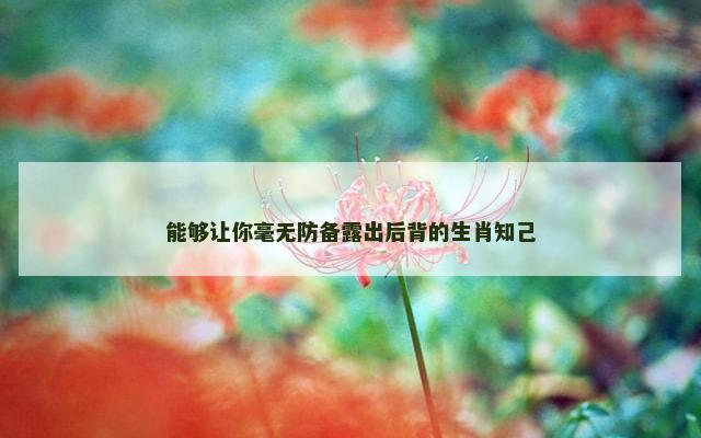 能够让你毫无防备露出后背的生肖知己