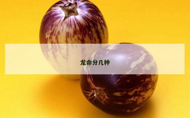 龙命分几种