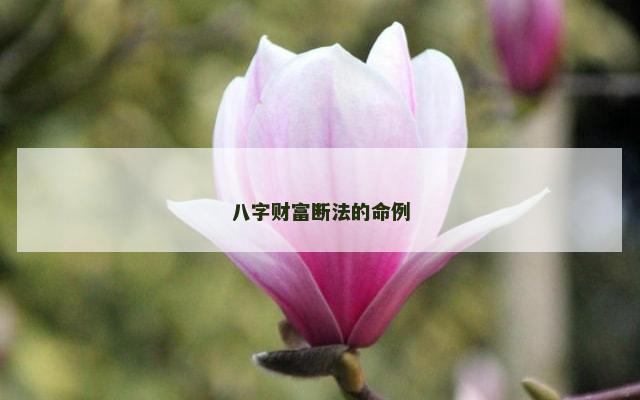 八字财富断法的命例