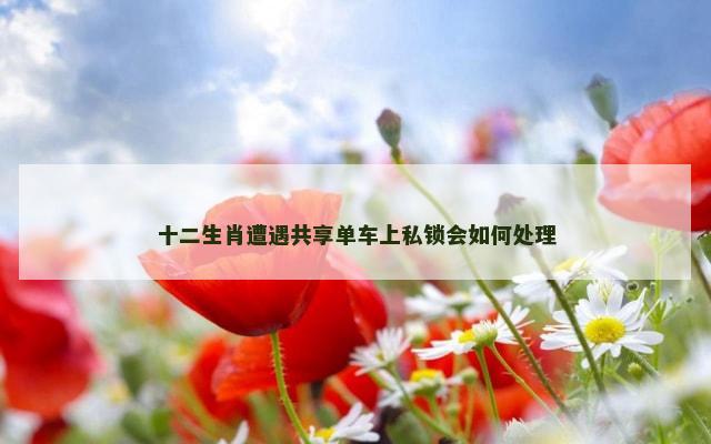 十二生肖遭遇共享单车上私锁会如何处理