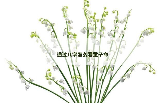 通过八字怎么看童子命