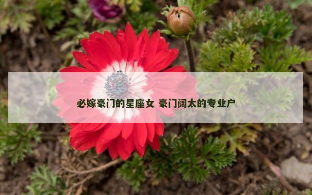 必嫁豪门的星座女 豪门阔太的专业户