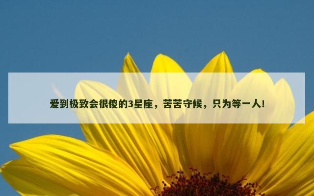 爱到极致会很傻的3星座，苦苦守候，只为等一人！