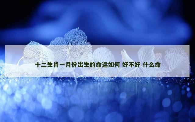 十二生肖一月份出生的命运如何 好不好 什么命
