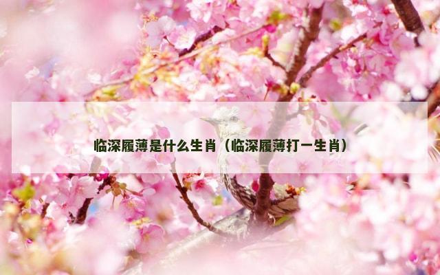 临深履薄是什么生肖（临深履薄打一生肖）