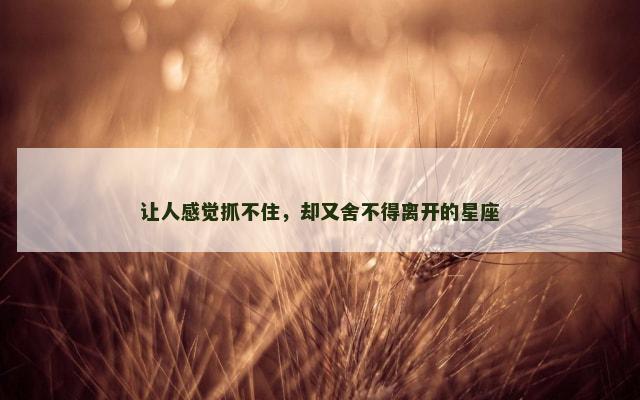 让人感觉抓不住，却又舍不得离开的星座