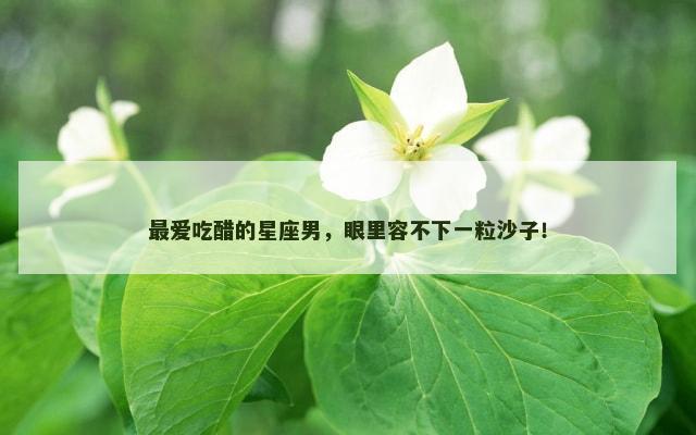 最爱吃醋的星座男，眼里容不下一粒沙子！