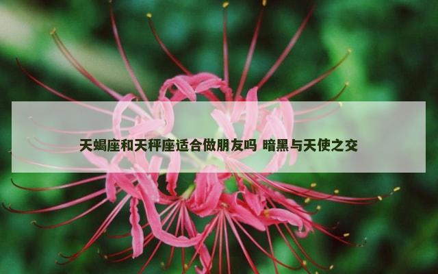 天蝎座和天秤座适合做朋友吗 暗黑与天使之交