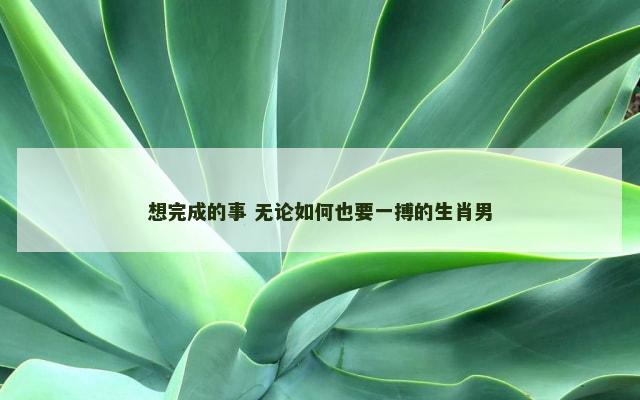 想完成的事 无论如何也要一搏的生肖男
