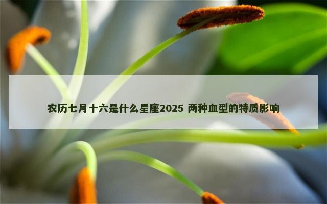 农历七月十六是什么星座2025 两种血型的特质影响