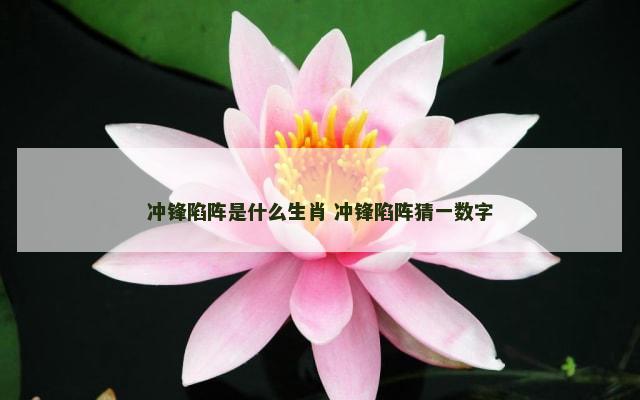 冲锋陷阵是什么生肖 冲锋陷阵猜一数字
