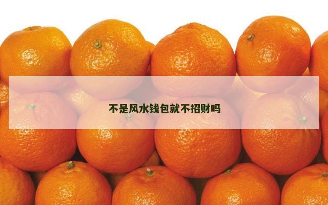 不是风水钱包就不招财吗