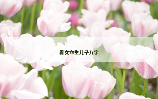 看女命生儿子八字