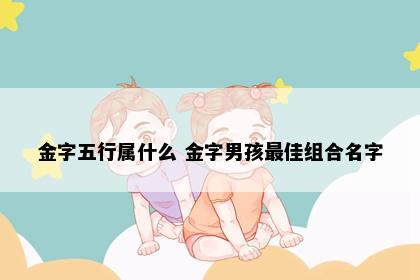 金字五行属什么 金字男孩最佳组合名字
