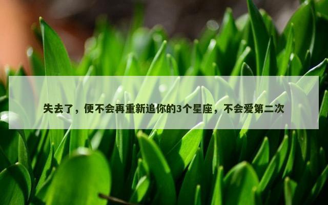 失去了，便不会再重新追你的3个星座，不会爱第二次