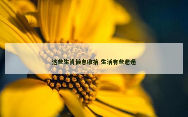 这些生肖懒怠收拾 生活有些邋遢