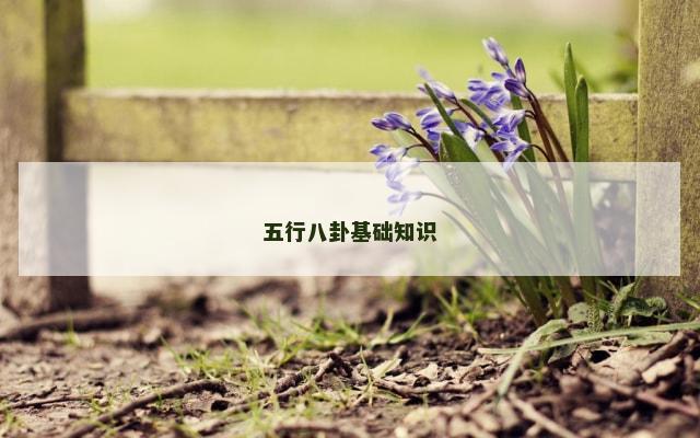 五行八卦基础知识
