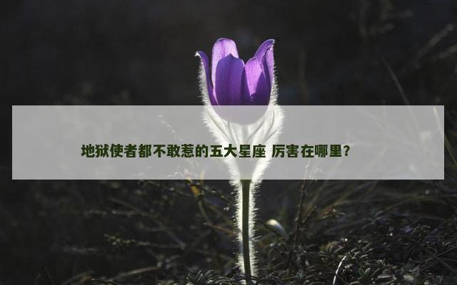 地狱使者都不敢惹的五大星座 厉害在哪里？ 　　