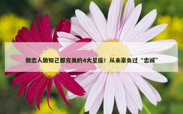 做恋人做知己都完美的4大星座！从未辜负过“忠诚”