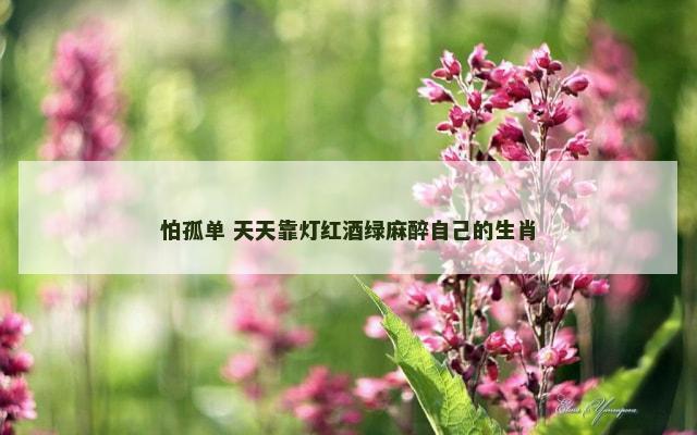 怕孤单 天天靠灯红酒绿麻醉自己的生肖