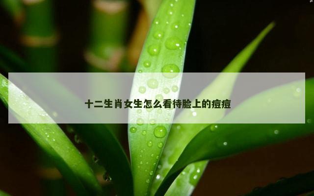 十二生肖女生怎么看待脸上的痘痘