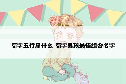荀字五行属什么 荀字男孩最佳组合名字