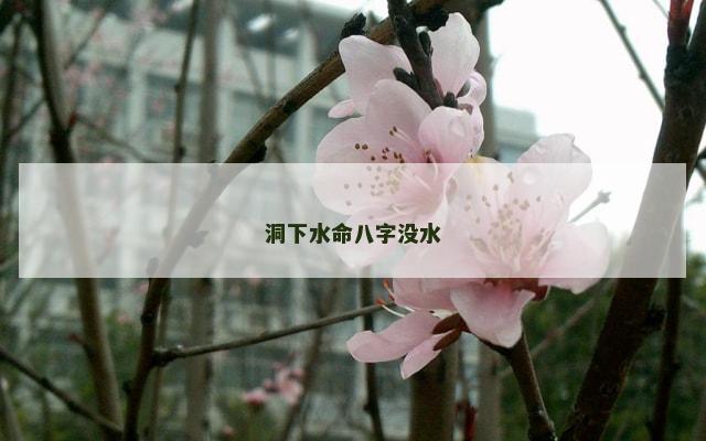 洞下水命八字没水