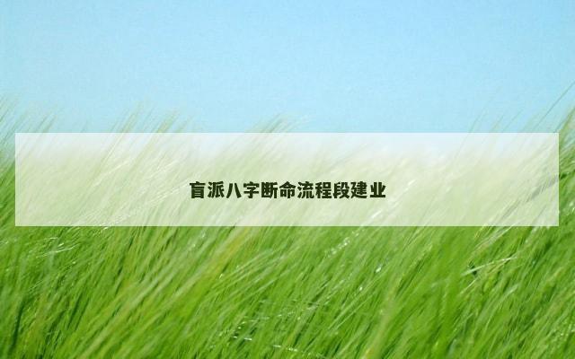 盲派八字断命流程段建业