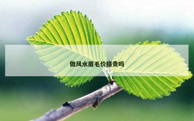 做风水眉毛价格贵吗