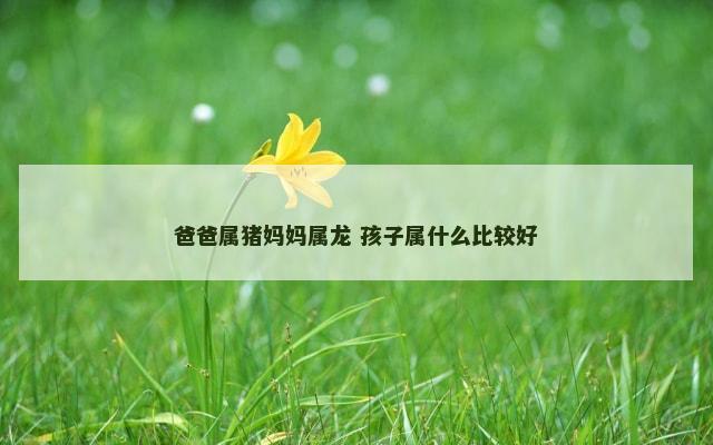 爸爸属猪妈妈属龙 孩子属什么比较好
