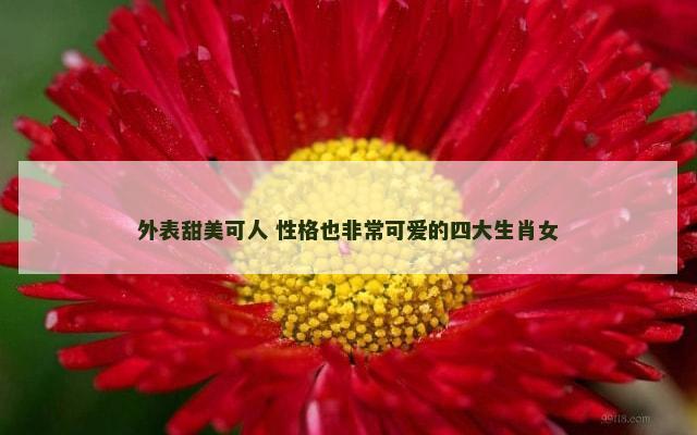 外表甜美可人 性格也非常可爱的四大生肖女